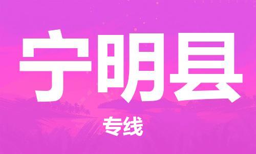 苏州到宁明县物流公司-苏州至宁明县专线-提供全方位的物流解决方案